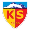 Logo Kayserispor
