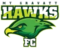 Mount Gravatt Hawks